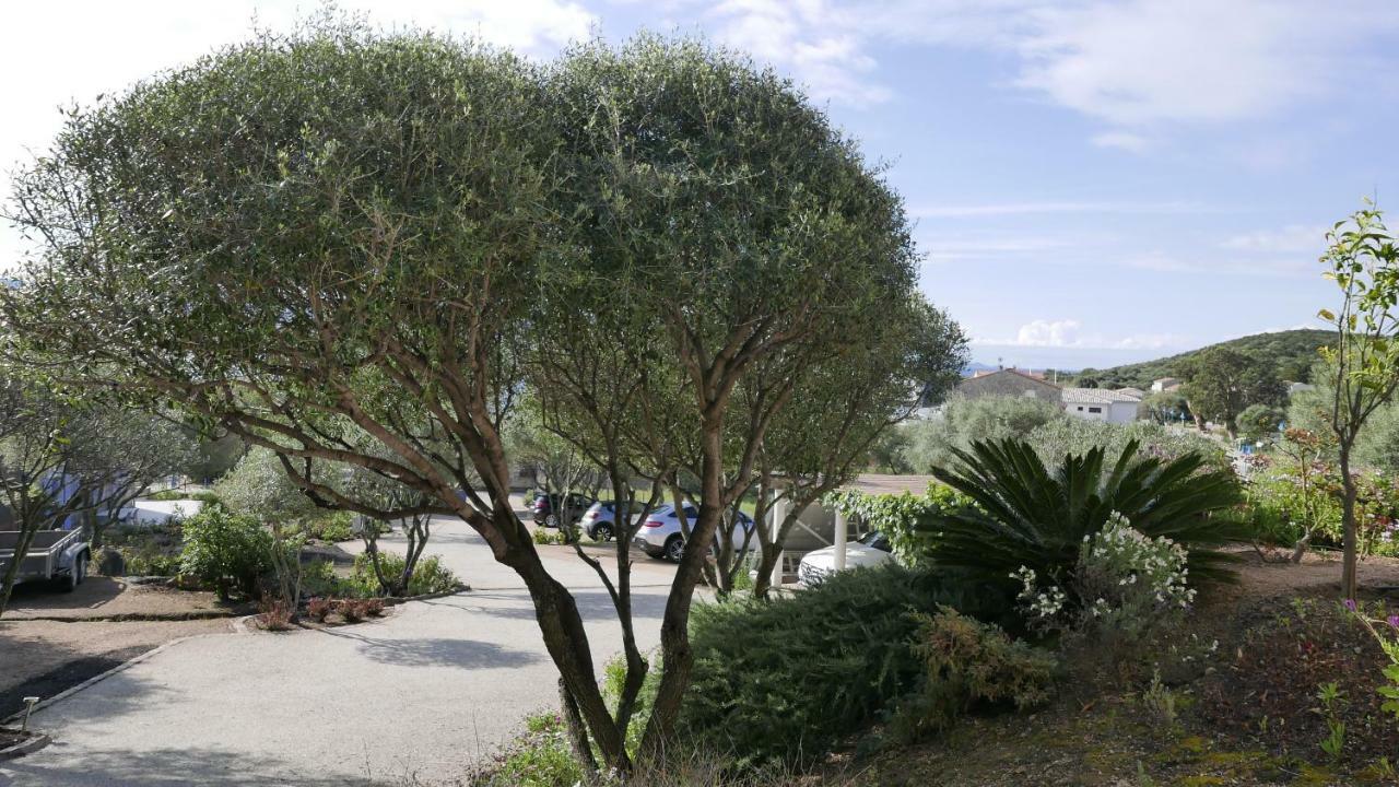 Appartamento Les Figuiers Porto Pollo Esterno foto