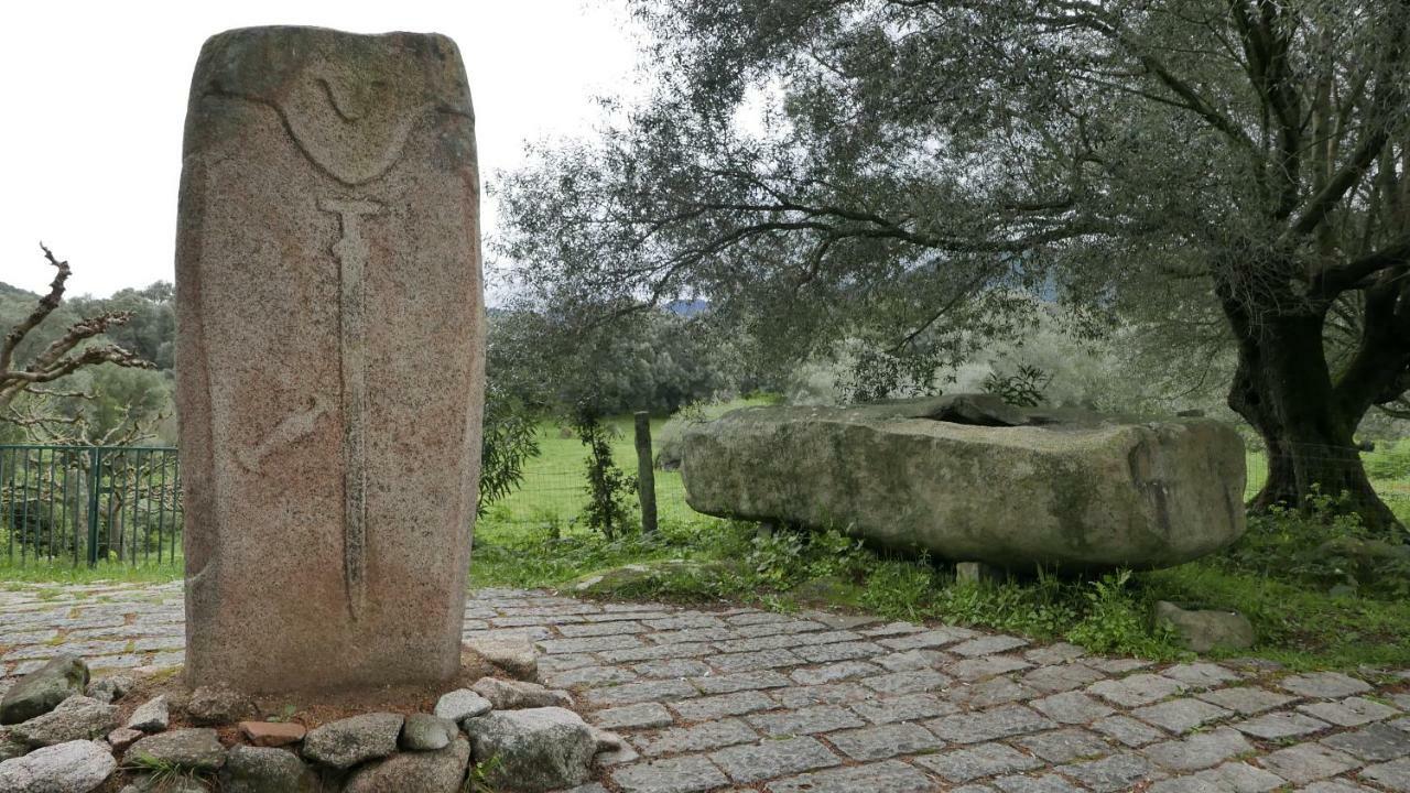 Appartamento Les Figuiers Porto Pollo Esterno foto