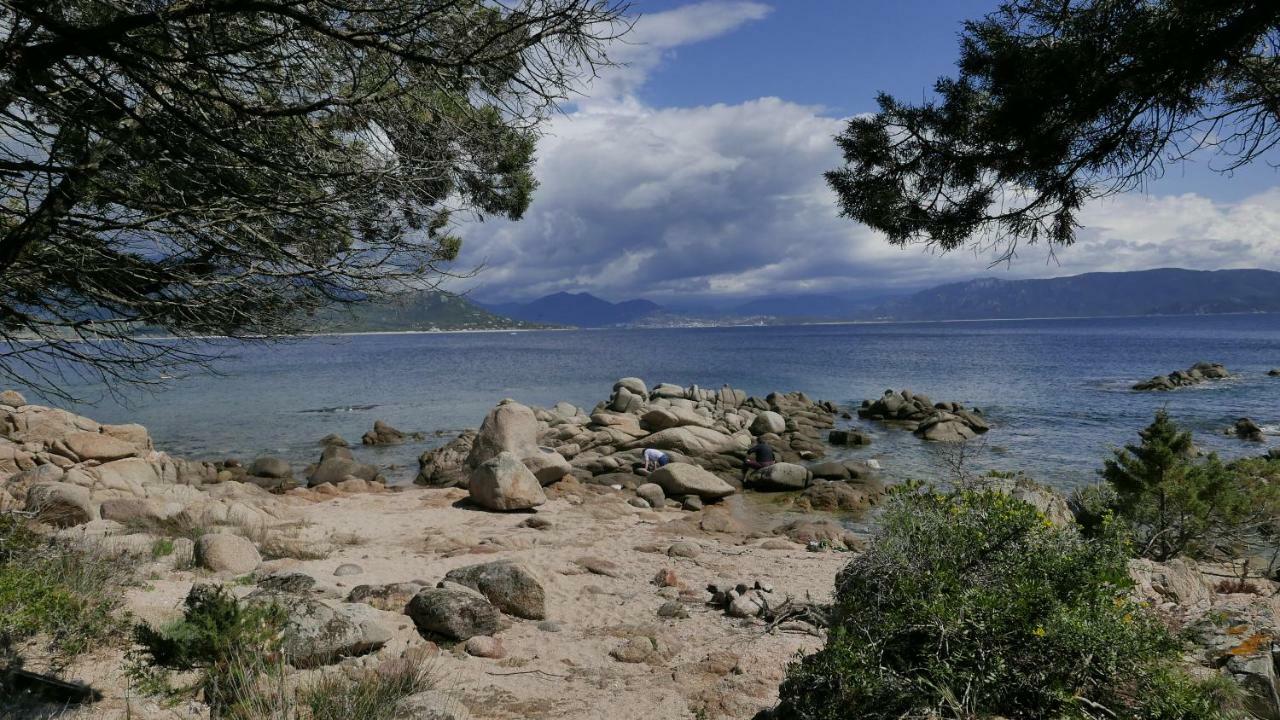 Appartamento Les Figuiers Porto Pollo Esterno foto